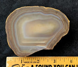 Brazilian Agate Cut/Raw Crystal Geode Half 🪨✨🤩💎