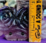 LG Rainbow Fluorite Crystal Pet Rock w/ Double Blooming Roses 🌹 🪨