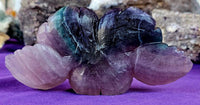 LG Rainbow Fluorite Crystal Pet Rock w/ Double Blooming Roses 🌹 🪨