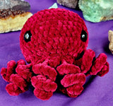 XL ‘Rhubarb’ Octobaby Crocheted Plushie 🐙