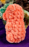 Peach Gummy Bear Crocheted Plushie 🍑🐻