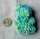 Minty Sprinkles Gummy Bear Crocheted Plushie 🐻
