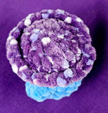 Blue & Grape Mushroom Baby Crocheted Plushie 🍇🍄