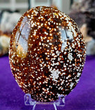 XL Ocean Jasper Crystal Palmstone 🌊