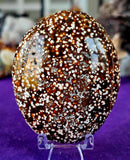 XL Ocean Jasper Crystal Palmstone 🌊