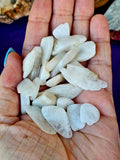Rainbow Moonstone Crystal Tumbles and Shards 🌈