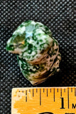 Green Spotted Jasper Crystal Standing Kitty Cat Figurine 🐈😺😍💚🍏