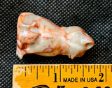 Red Veined Jasper Crystal Kitty Cat Figurine 🐈😺😍