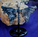 Moss Agate Crystal Butterfly on Black Metal Display Stand #1 😍🤍💚🖤✨🦋