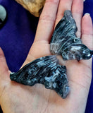 Moss Agate Crystal Butterfly on Black Metal Display Stand #1 😍🤍💚🖤✨🦋