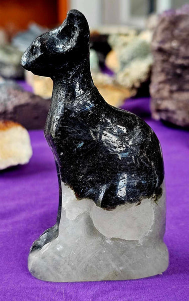 Arfvedsonite AKA Fireworks Stone with Garnet Quartz Crystal Sphynx Cat Statue 🎆🐈‍⬛