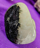 Arfvedsonite AKA Fireworks Stone with Garnet Quartz Crystal Sphynx Cat Statue 🎆🐈‍⬛