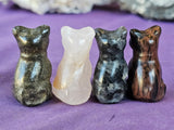 Assorted Crystal Standing Kitty Cat Figurine 🩷😺🐾💜🐈‍⬛✨💎