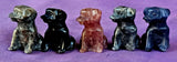 SM. Assorted Crystal Standing Puppy Dog  Figurine 🐾🐕🐩🐶