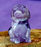 Mini Assorted Crystal Puppy Dog Figurines 🐾🐕🐩🐶😍✨