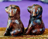 Mini Assorted Crystal Puppy Dog Figurines 🐾🐕🐩🐶😍✨