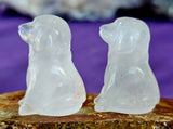 Mini Assorted Crystal Puppy Dog Figurines 🐾🐕🐩🐶😍✨