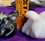 MD. Assorted Crystal Angel Kitties 🥹🐾🐈🪽