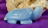MD. Blue & White Calcite Crystal Turtle Carving 🤍 ✨ 🐢💙🌊