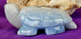 MD. Blue & White Calcite Crystal Turtle Carving 🤍 ✨ 🐢💙🌊