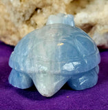 MD. Blue & White Calcite Crystal Turtle Carving 🤍 ✨ 🐢💙🌊