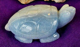 MD. Blue & White Calcite Crystal Turtle Carving 🤍 ✨ 🐢💙🌊
