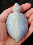 MD. Blue & White Calcite Crystal Turtle Carving 🤍 ✨ 🐢💙🌊
