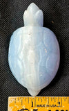 MD. Blue & White Calcite Crystal Turtle Carving 🤍 ✨ 🐢💙🌊