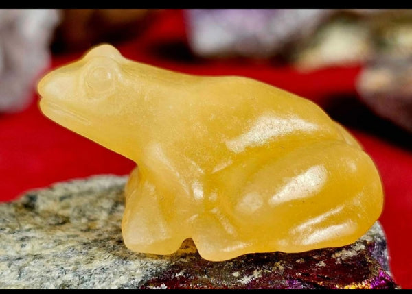 Creamscicle Calcite Frog Figurine 🐸