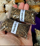 Fresh Cut & Dried Organic Plantain Leaf 🌿🍌🍃