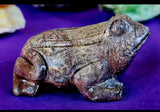 Beautiful Forg Boi Carving 🐸