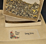 Lung Love Organic Herbal Tea ☕🫁🥰💜🍵