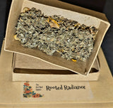 Rooted Radiance Organic Herbal Tea ☕🍵🕉️🕊️🫚🌿