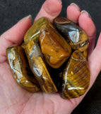 LG. Tigers Eye Crystal Tumble ✨🍂⚜️👁️🐅