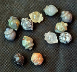 SM. Assorted Crystal Acorn Carvings 🌰🌰🌰