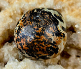 Azurite & Chrysocolla Crystal Tumble 💙✨💚