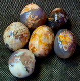 LG. Grey Flower Agate Crystal Tumble 🌺🩶✨💛🤯🤩