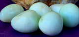 White Hemimorphite Crystal Egg/Tumble 🤍✨🥚🩵