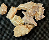 Raw Golden Desert Selenite Crystal Specimen 🏜️⚜️🏝️✨