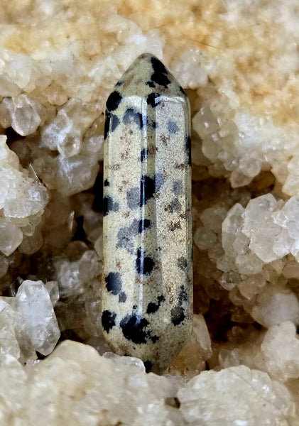 Dalmatian Jasper Crystal DT Mini Wand ✨🥹😍✨