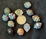 SM. Assorted Crystal Acorn Carvings 🌰🌰🌰