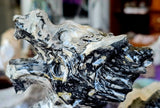 MASSIVE Picasso Jasper Crystal Eastern Asian Themed Dragon Statue ✨🤩🤯🖤🤍🩶🐲🐉
