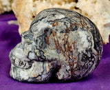 LG. Shell Jasper Crystal Skull 💀🩶🤯🤩🤍