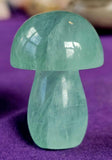 Assorted Fluorite Crystal Mushroom 🍄🌈✨💜