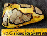 LG. UV Reactive Polished Septarian Crystal Freeform 💛✨🤩🖤