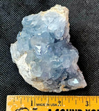 Raw Celestite Crystal Geode Specimen ✨🩵💎✨💙