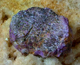 ✨RARE✨ Raw Stichtite Crystal Specimen ✨🤩🤯💜☪️