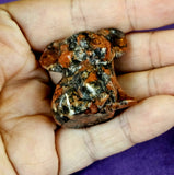 Brecciated Jasper Crystal Koala Bear Figurine 🐨