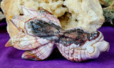 LG. Banded Agate Crystal Fantail Goldfish Carving ✨🤩🐟🐠🐡🤯🤍