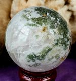 LG. Tree Agate Crystal Sphere 💚🔮✨🌳🤩